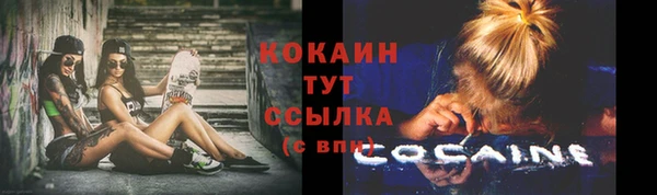 метадон Инта