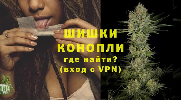 прущие грибы Зеленодольск