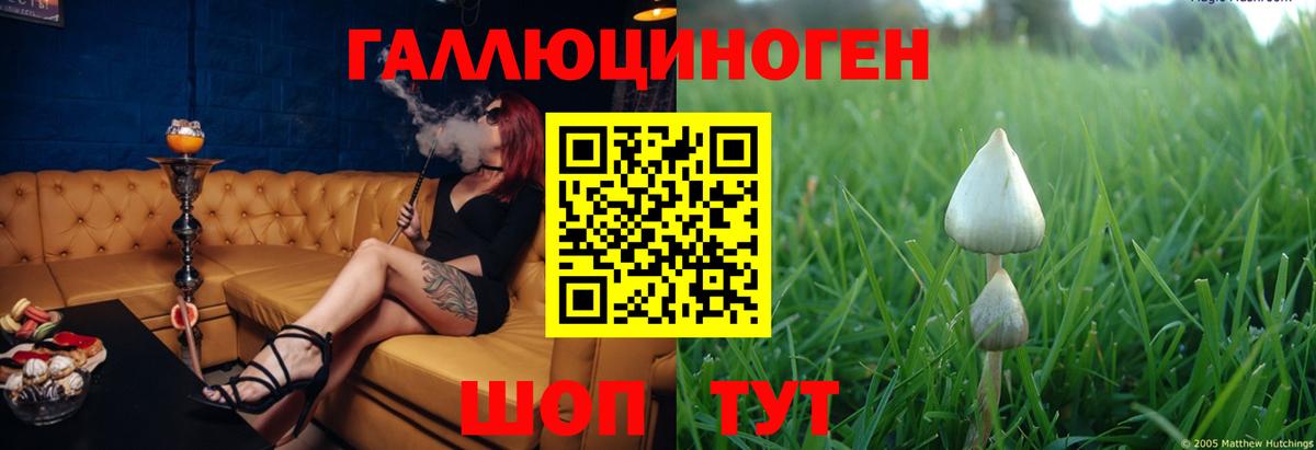 Галлюциногенные грибы Magic Shrooms  Вход с VPN  Псилоцибиновые грибы прущие грибы  купить наркотик  Конаково 