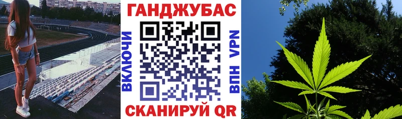 Бошки Шишки гибрид Конаково